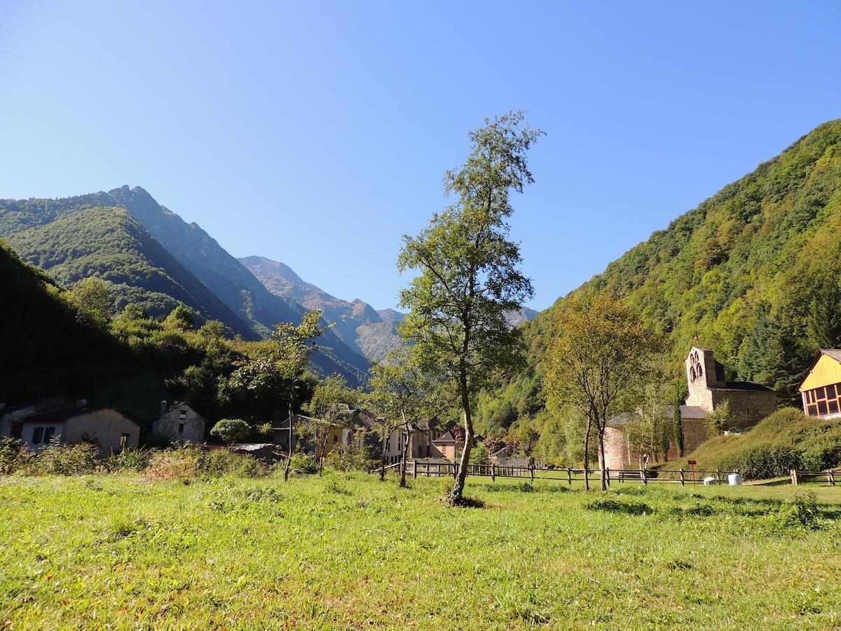 Auberge Les Myrtilles Couflens Eksteriør billede