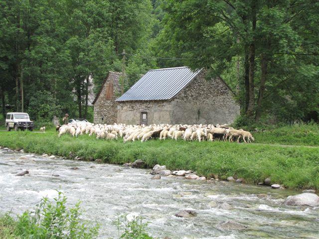 Auberge Les Myrtilles Couflens Eksteriør billede
